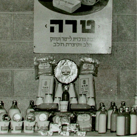 סיפור 3