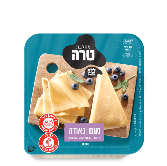 נעם גאודה