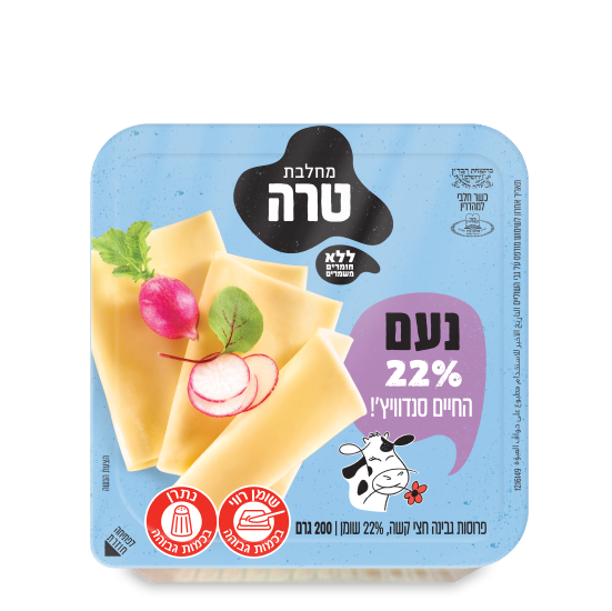 גבינה צהובה 22 אחוז