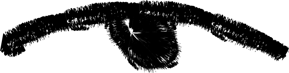 bird-1-2
