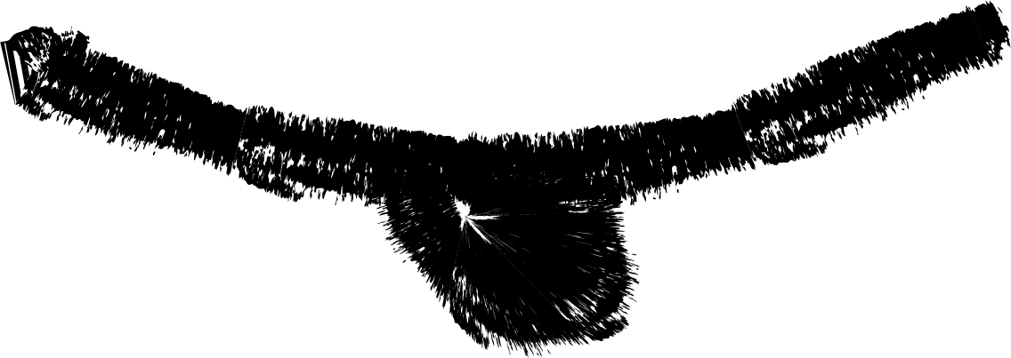 bird-1